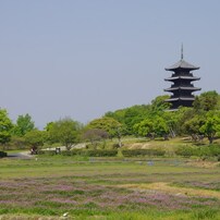 備中国分寺　2013春