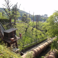 GW旅　姫路―鳥取―京都