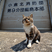 2013.05.07ネコちゃん