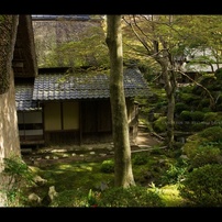 近江名刹紀行【石の寺－教林坊】