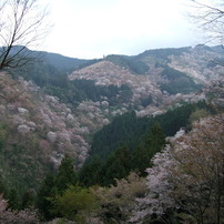 DSCF0666