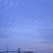 砂丘みたいな雲