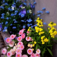 ２０１３．ドイツ５月