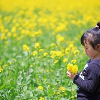 菜の花摘んでⅡ