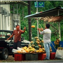 Costa Rican Colours