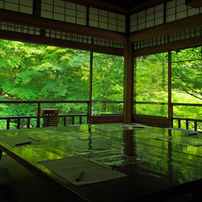 京都 新緑めぐり 2013