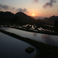 大山千枚田の田植2013
