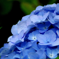 IMGP09978