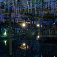 天王川公園