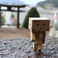 ダンボー365日