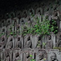 目黒周辺散策　大円寺