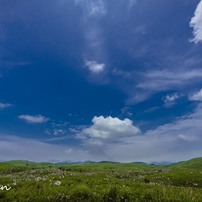 おいでませ山口へ