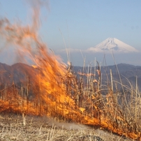 燃ゆる富士