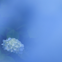 Planet BLUE 19