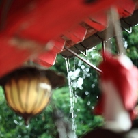 雨の慕情