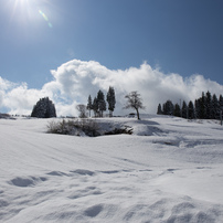 snow&sky