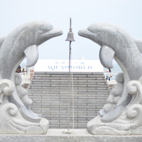 水族館2013