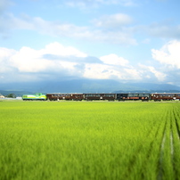 ノロッコ号　ラベンダー畑駅から美瑛へ向かう