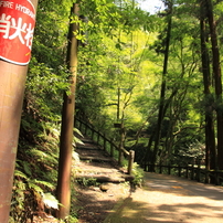 箕面の滝・渓流２