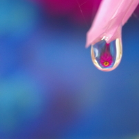 Flower in the drop　-Violet-