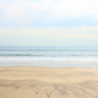 sea  四季