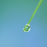 Aqueous Blue