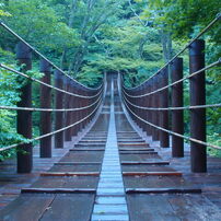 吊り橋の夏