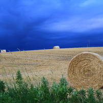 Hokkaido Biei～Furano