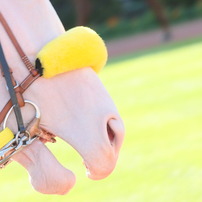競馬！
