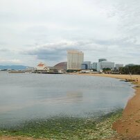 福岡市百道