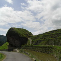 RICOH(リコー)のデジタルカメラCaplio R6 で撮影した写真(画像)一覧