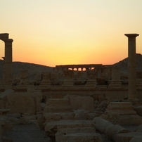 Syria 夕刻のパルミラ遺跡