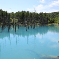 青い池とぜるぶの丘