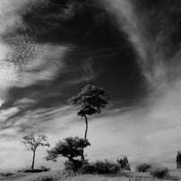 MAMIYA(マミヤ)のレンズ Mamiya KL 75mm F3.5L で撮影した写真(画像