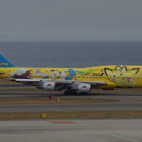 ANAﾋﾟｶﾁｭｳｼﾞｬﾝﾎﾞ ﾎﾞｰｲﾝｸﾞ747(JA8957)