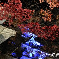 TOKINA(トキナー)のレンズ AT-X 165 PRO DX 16-50mm F2.8 (ﾆｺﾝ用) で