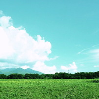 夏の風に絡まれて