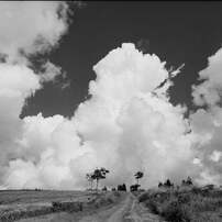 マミヤ Mamiya K/L 75mm F3.5 L Mamiya-KL-90mm-F3.5-L.jpg?fit=