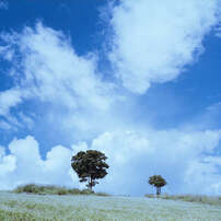 マミヤ Mamiya K/L 75mm F3.5 L マミヤ Mamiya K/L 75mm F3.5 L マミヤ Mamiya KL 75mm F3.5L 価格比較 -