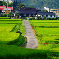 駆け抜ける道。
