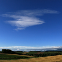 青空の写真 画像 写真集 写真共有サイト Photohito