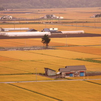 田舎の風景