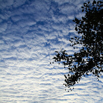 うろこ雲の写真 画像 写真集 写真共有サイト Photohito
