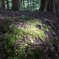 高山パワースポット　