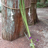 熊野神社