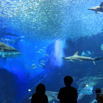 水族館