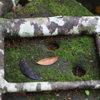 IMG_7182_p