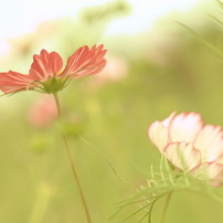 ほんわかぁ～な時間♪