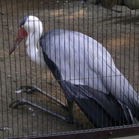 PENTAX(ペンタックス)のデジタルカメラOptio 555 で撮影した写真(画像