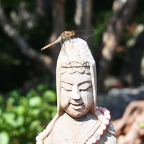 山寺（山形県）
